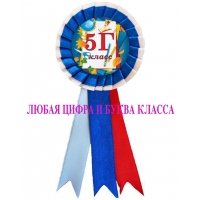 Значок-розетка с любой цифрой и буквой класса